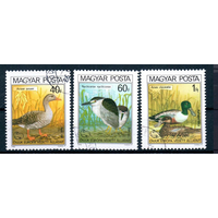 Венгрия 1980. Фауна Птицы - Европейская кампания по охране природы