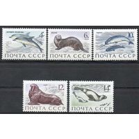 Морские млекопитающие СССР 1971 год (4037-4041) серия из 5 марок