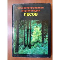 Ян Еник. ИЛЛЮСТРИРОВАННАЯ ЭНЦИКЛОПЕДИЯ ЛЕСОВ.