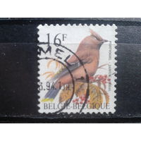 Бельгия 1994 Стандарт, птица 16 франков