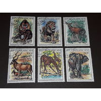 Центральноафриканская Республика ЦАР 1982 Фауна. Полная серия 6 марок