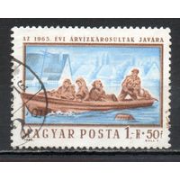 Оказание помощи пострадавшим от наводнения Венгрия 1965 год серия из 1 марки