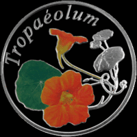 Настурция (Tropaeolum) ("Красота цветов") 10 рублей 2013 года