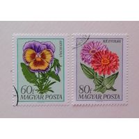 Венгрия 1968 / флора / Садовые цветы / 2 марки из серии