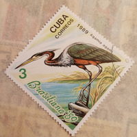 Куба 1989. Птицы. Agamia agami