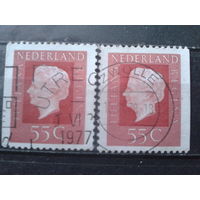Нидерланды 1976 Королева Юлиана 55с марки из буклета