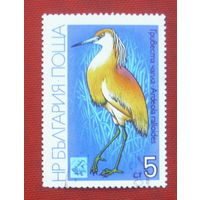 Болгария. Птицы. ( 1 марка ) 1981 года. 8-4.
