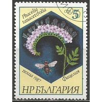 Болгария. Медоносы и пчёлы. Фицелия. 1987г. Mi#3582.