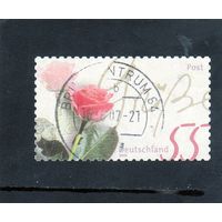 Германия. Ми-2317. Цветы.Роза.2003