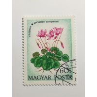 Венгрия 1973. Полевые цветы