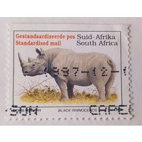 ЮАР, носорог