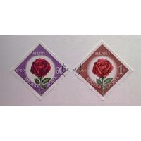 Венгрия 1959 / флора / цветы  розы/ 2 марки из серии