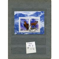 КИРГИЗИЯ, 1996,  ФАУНА     блок  (на "СКАНЕ" справочно приведены номера и цены по Michel)