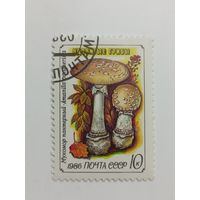 1986 СССР. Ядовитые грибы