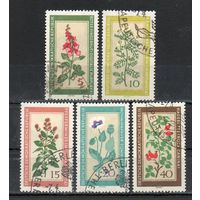 Цветы ГДР 1960 год серия из 5 марок