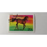 Танзания 1993. Лошади