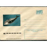 СССР 1974. ХМК. Конверт. Морская фауна. Гренландский кит