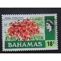 Багамы 1976 г. Флора.