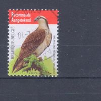[1738] Бельгия 2011. Фауна.Птица.Скопа. Гашеная марка.Высокий номинал (4.70 евро).