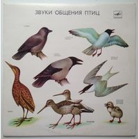 10" Звуки общения птиц (1989)