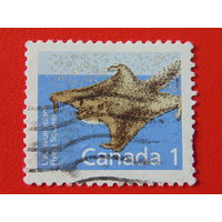 Канада 1988 г. Фауна.