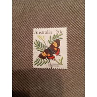 Австралия. Бабочки. Chlorinda Harstreak