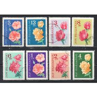 Розы Болгария 1962 год серия из 8 марок