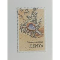 Кения 1971. Ракушки