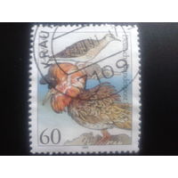 Германия 1991 птицы Михель-0,6 евро гаш.
