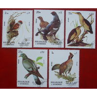 Шарджа. Птицы. ( 5 марок ) 1972 года. 3-17.
