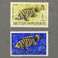 Британский Гондурас 1969 год. Рыбы