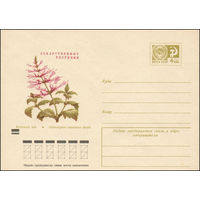 Художественный маркированный конверт СССР N 8050 (01.02.1972) Лекарственные растения Почечный чай
