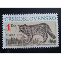 Чехословакия 1990 кот