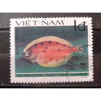 Вьетнам 1982 Камбала, концевая