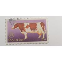 Марки Польша 1975. Корова