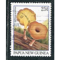 Папуа Новая Гвинея. Гриб (рамка 33 мм, основной выпуск 1995 года 31мм )
