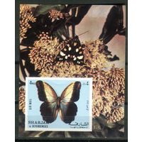 Шарджа - 1972г. - Бабочки - полная серия, MNH, есть небольшая вмятина [Mi bl. 118] - 1 блок
