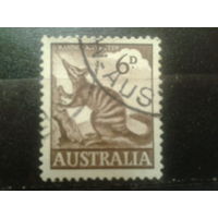 Австралия 1960 Полосатый муравьед