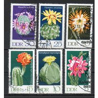 Цветущие кактусы ГДР 1970 год серия из 6 марок