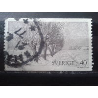 Швеция 1973 Живопись P. A. Persson