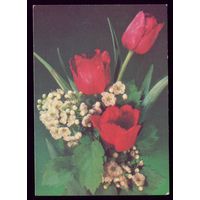 1989 год И.Дергилёв Тюльпаны чист