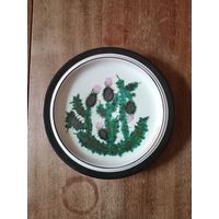 Тарелка настенная керамика с кактусами