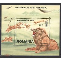 Румыния  2000 Львы фауна  MNH
