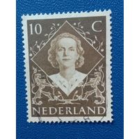 Нидерланды Стандарт Королева Юлиана
