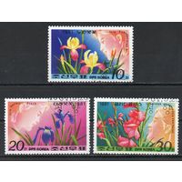 Цветы КНДР 1981 год серия из 3-х марок