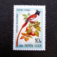 Марка СССР 1981 год Певчие птицы