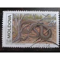 Молдова 1993 змея 15,0 р