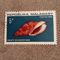 Мадагаскар 1970. Морская раковина. Volute Delesserrtiana