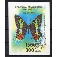 Бабочки Мадагаскар 1992 год 1 блок