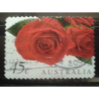 Австралия 1999 Валентинов день, розы